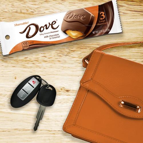 Dove Large Promises Milk Chocolate Caramel Candy, 2.75 Oz Pack