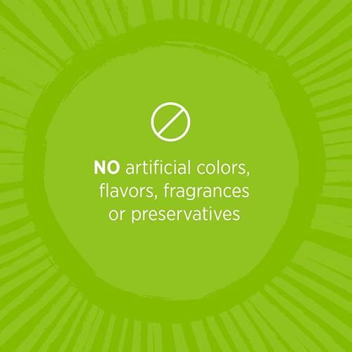 Toms Of Maine Travel Size Fluoride-Free Fresh Mint Toothpaste, 3 Oz. (Packaging May Vary)