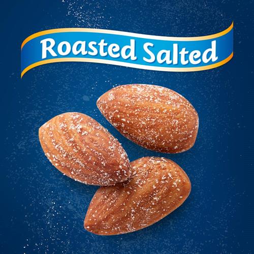 Blue Diamond Almonds, Roasted Salted, 16 Ounce