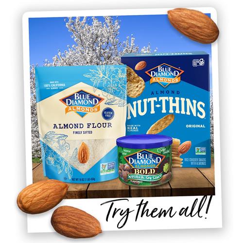 Blue Diamond Almonds, Roasted Salted, 16 Ounce