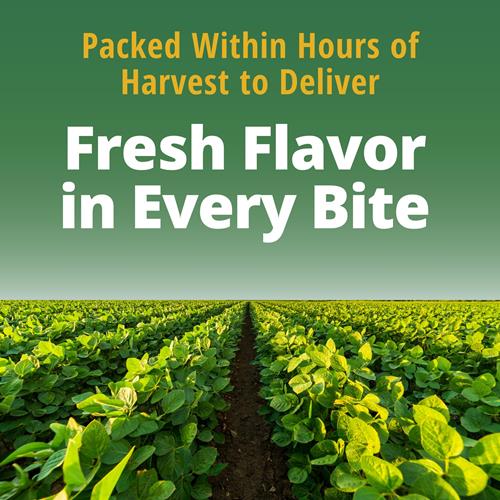 Del Monte Fresh Cut Seasoned Green Beans - 14.5 Oz