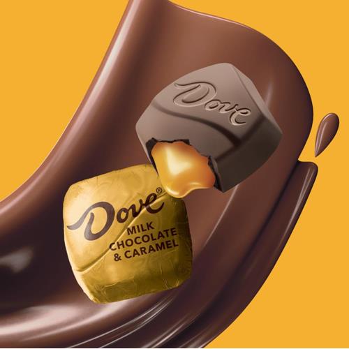 Dove Promises Milk Chocolate & Caramel Candy, 6.74 Oz Bag