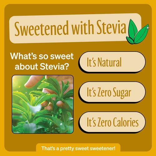 Zevia Zero Calorie Soda, Cream Soda, 12 Ounce Cans (Pack Of 6)