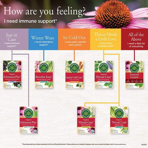 Traditional Medicinals Organic Echinacea Plus Seasonal Tea (Pack Of 1), Promotes Immune Function, 16 Tea Bags