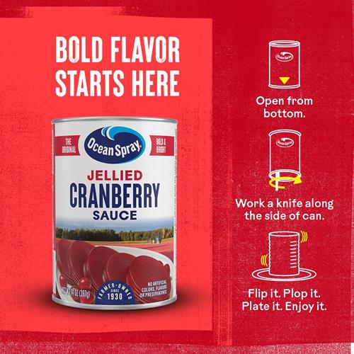 Ocean Spray Jellied Gluten Free Cranberry Sauce, 14 Ounce Can