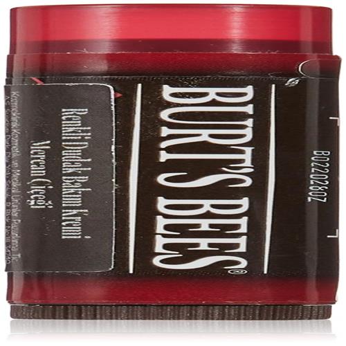 Burts Bees, Lip Balm Tinted Daisy, 0.15 Ounce