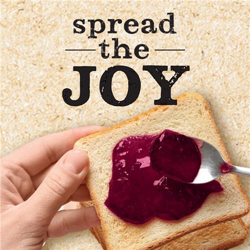 Kroger Sugar Free Grape Preserves 13 oz
