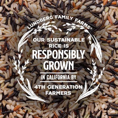Lundberg Wild Blend Rice – Long-Grain Brown, Sweet Brown, Red & Black Rice, Certified Gluten-Free Whole Grains, 16 Oz