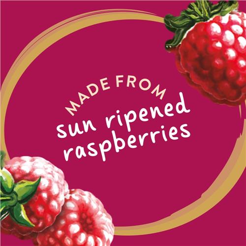 Kroger Raspberry Jam Seedless 18 oz