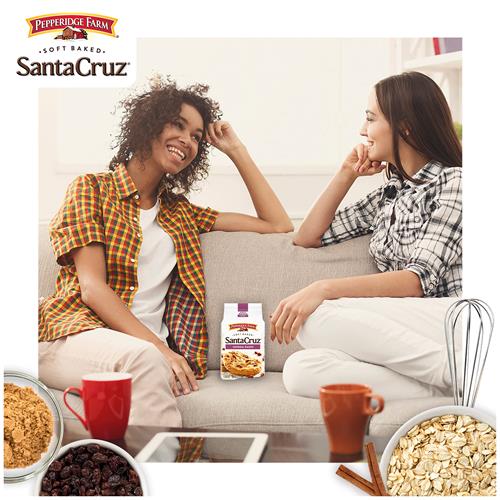 Pepperidge Farm Santa Cruz Soft Baked Oatmeal Raisin Cookies, 8.6 Oz. Bag