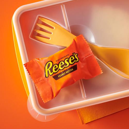 Reeses Milk Chocolate Snack Size Peanut Butter Cups, Candy Pantry Pack, 13.75 Oz (25 Pieces)