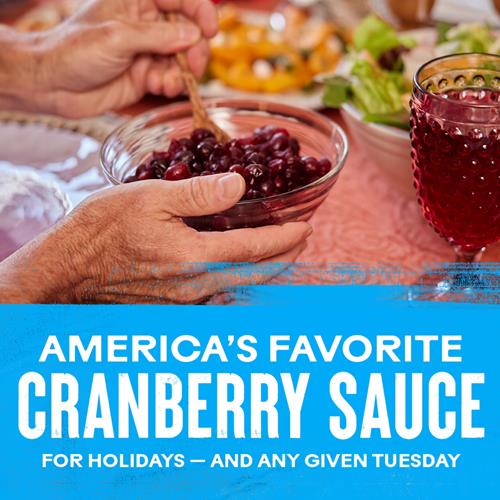 Ocean Spray Whole Berry Cranberry Sauce, 14 Ounce Can