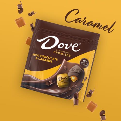 Dove Promises Milk Chocolate & Caramel Candy, 6.74 Oz Bag