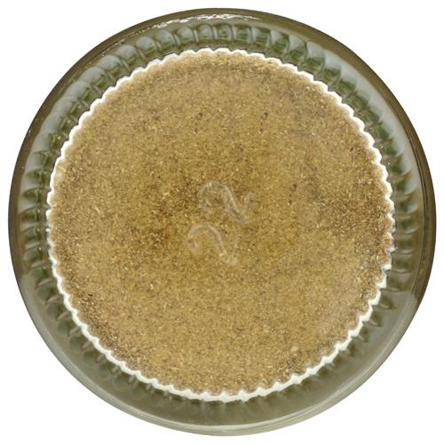 Whole Foods Market, Organic Sage, 1.23 Oz