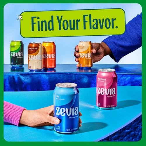 Zevia Zero Sugar Soda, Ginger Ale, 12 Ounce Cans (Pack Of 12)
