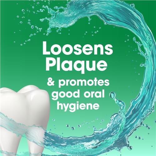 Kroger Pre-Brush Dental Rinse Mouthwash Fresh Mint 24 fl oz