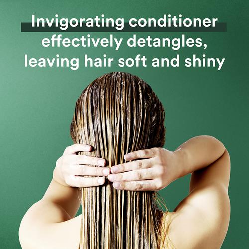 Suave Professionals Invigorating Shampoo For Dry And Damaged Hair Rosemary And Mint Paraben Free And Dye Free Hair 28 Oz