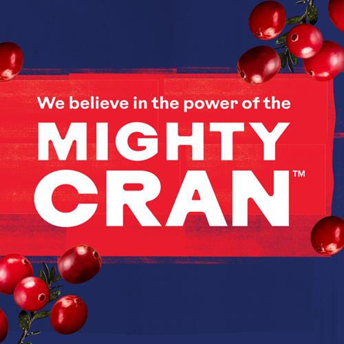 Ocean Spray Cranberry Juice Cocktail, 64 Fl Oz Bottle