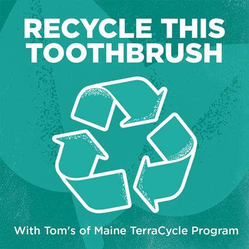 Toms Of Maine, Whole Care Toothbrush, Soft