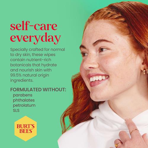 Burts Bees Refreshing Facial Towelettes With Cucumber And Mint, Pre-Moistened Towelettes For All Skin Types, 99 Percent Natural Origin Skin Care, 30 Ct. Package