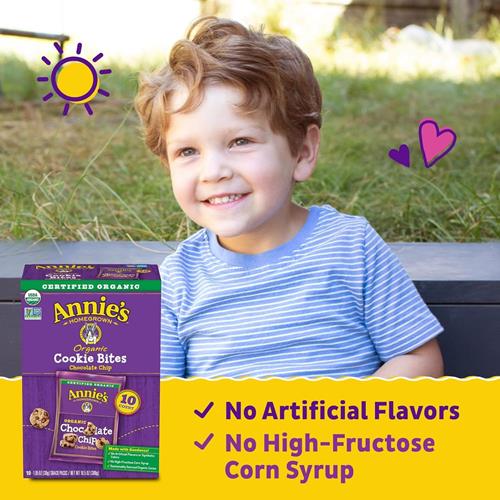 Annies Organic Chocolate Chip Cookie Bites, 10 Pouches, 10.5 Oz
