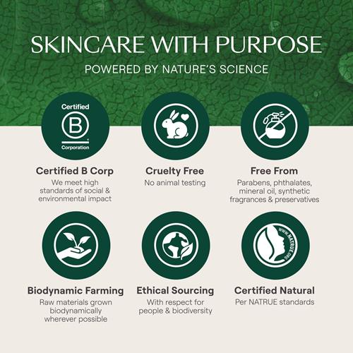 Weleda Skin Food Face Care Nourishing Oil-To-Milk Cleanser, 2.5 Fluid Ounce, Plant Rich Cleanser With Sunflower Seed Oil, Chamomile Extract And Pansy