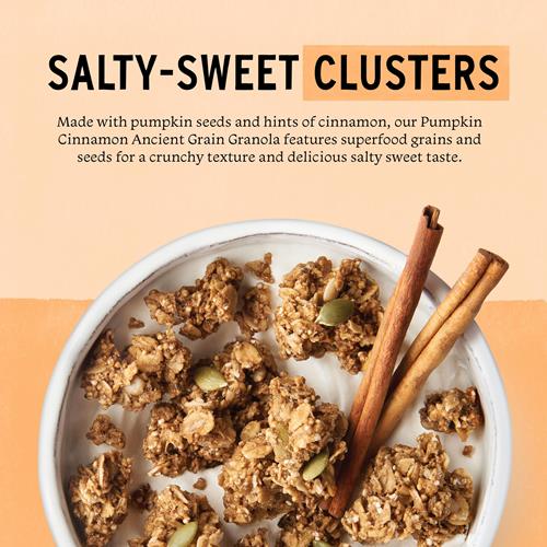 Purely Elizabeth Pumpkin Cinnamon Flavored Granola, Ancient Grain, Non Gmo, Gluten Free, 12 Ounces (Pack Of 6)