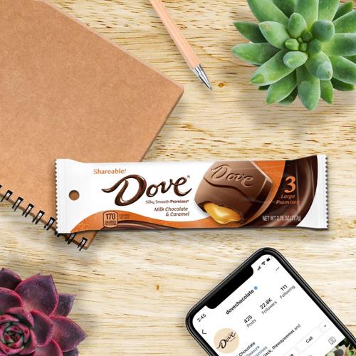 Dove Large Promises Milk Chocolate Caramel Candy, 2.75 Oz Pack