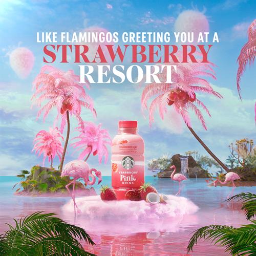 Starbucks Pink Drink, Strawberry Acai With Coconut Milk, 14Oz Bottle