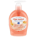 Kroger Ripe Melon Scent Antibacterial Liquid Hand Soap 7.5 fl oz
