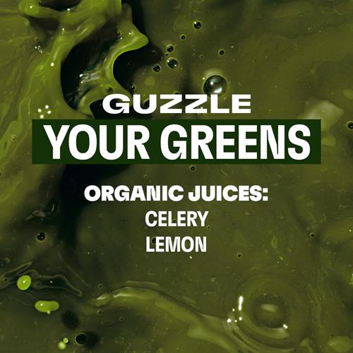 Evolution Fresh Organic Celery Juice, 44 Fz