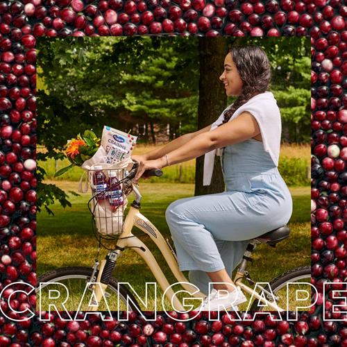 Ocean Spray Cran-Grape Cranberry Grape Juice Drink, 101.4 Fl Oz Bottle (Pack Of 1)
