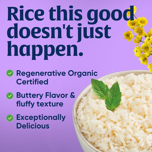 Lundberg Jasmine Rice, Regenerative Organic Certified – Non-Sticky, Aromatic Long-Grain White Rice, Responsibly Grown In California, 32 Oz