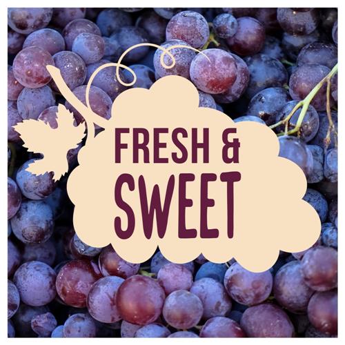 Kroger Grape Jelly Squeezable 20.5 oz