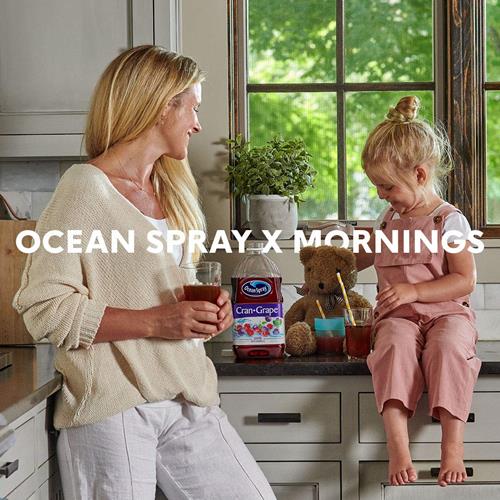 Ocean Spray Cranberry Juice Cocktail, 101.4 Fl Oz Bottle (Pack Of 1)