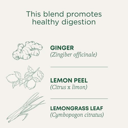 Traditional Medicinals Organic Lemon Ginger Tea, 1.13 Oz, 16 Count