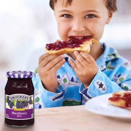 Smuckers Seedless Blackberry Jam, 18 Ounces