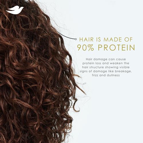 Dove Shampoo And Conditioner Coconut & Hydration 2 Count For Dry Hair With Bio-Protein Care Technology And Coconut Oil 12 Fl Oz