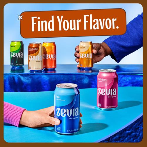 Zevia Zero Sugar Soda, Ginger Root Beer, 12 Ounce Cans (Pack Of 12)