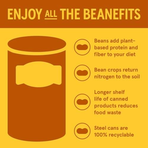 Bushs Best Pinto Beans, 16 Ounce Can, Canned Beans, Pinto Beans Canned, Source Of Plant Based Protein And Fiber, Low Fat, Gluten Free, For Soups, Salads And More