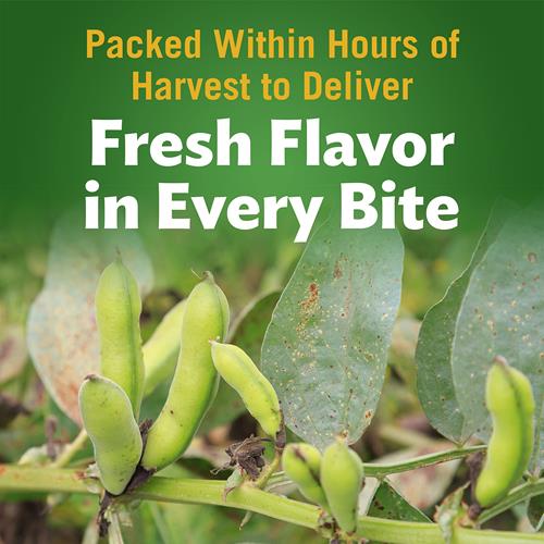 Del Monte Canned Fresh Cut Green Lima Beans, 8.5 Ounce