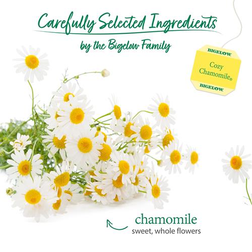 Bigelow, Cozy Chamomile Tea (Caffeine Free), 20 Count