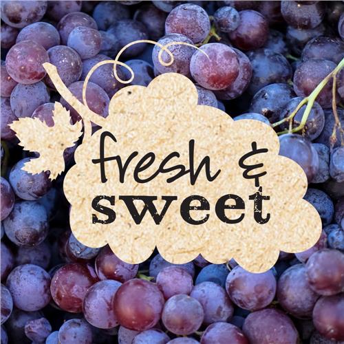 Kroger Sugar Free Grape Preserves 13 oz