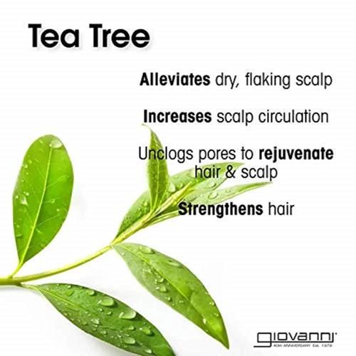 Giovanni Tea Tree Triple Treat Invigorating Conditioner, 8.5 Oz. - Cooling Peppermint, Eucalyptus, Rosemary, Helps Dry Flaking Scalp, Lauryl And Laureth Sulfate Free, Paraben Free
