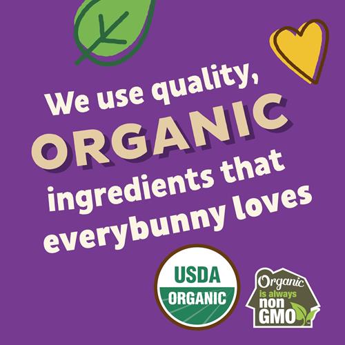 Annies Organic, Hidden Veggie, Sea Salty Crackers 7.5 Oz