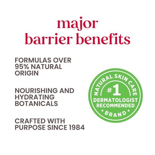 Burts Bees Lip Tint Balm, Long Lasting 2 In 1 Duo Tinted Balm Formula, Color Infused With Hydrating Shea Butter For A Natural Looking Buildable Finish, Rose, 1 Tube