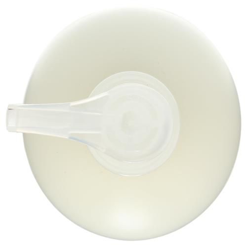 Whole Foods Market Lotion Maximum Moisture Island Coconut, 16 Fl Oz
