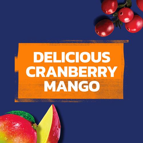 Ocean Spray Juice Drink, Cranberry Mango, 10 Fl Oz Bottles, 6 Pack