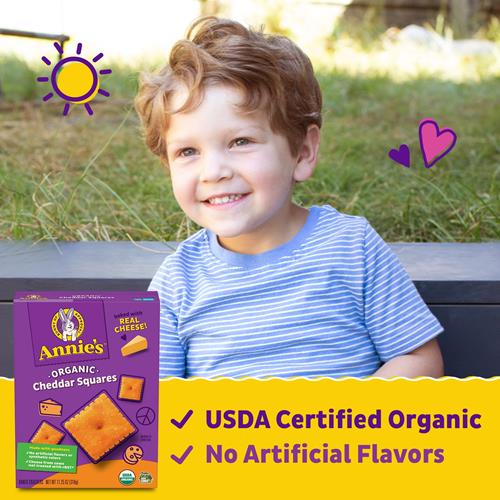 Annies Organic Original Cheddar Squares Baked Snack Crackers, Made With Real Cheese, 11.25 Oz