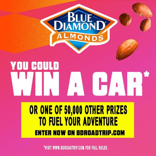 Blue Diamond Almonds, Roasted Salted, 16 Ounce
